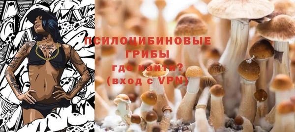 мдма Богородицк
