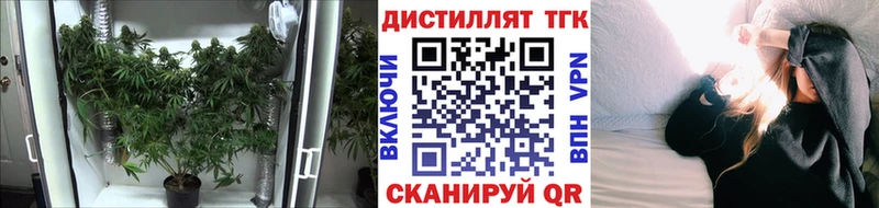 Купить где  Бугульма  ТГК концентрат 