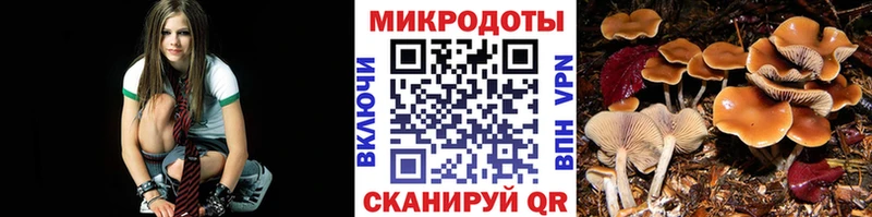 Купить  Бугульма  Галлюциногенные грибы Psilocybine cubensis 